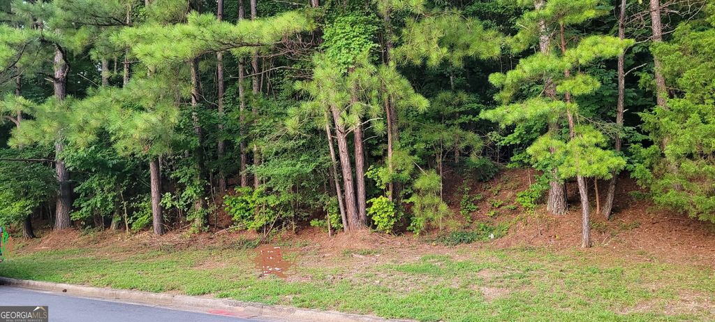 Photo of 4230 Sandstone Shores Drive #38, Lithonia, GA 30038 (MLS # 10698433)