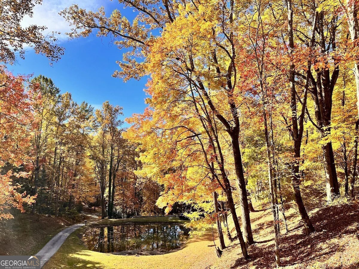 73 Peek and Peak LN