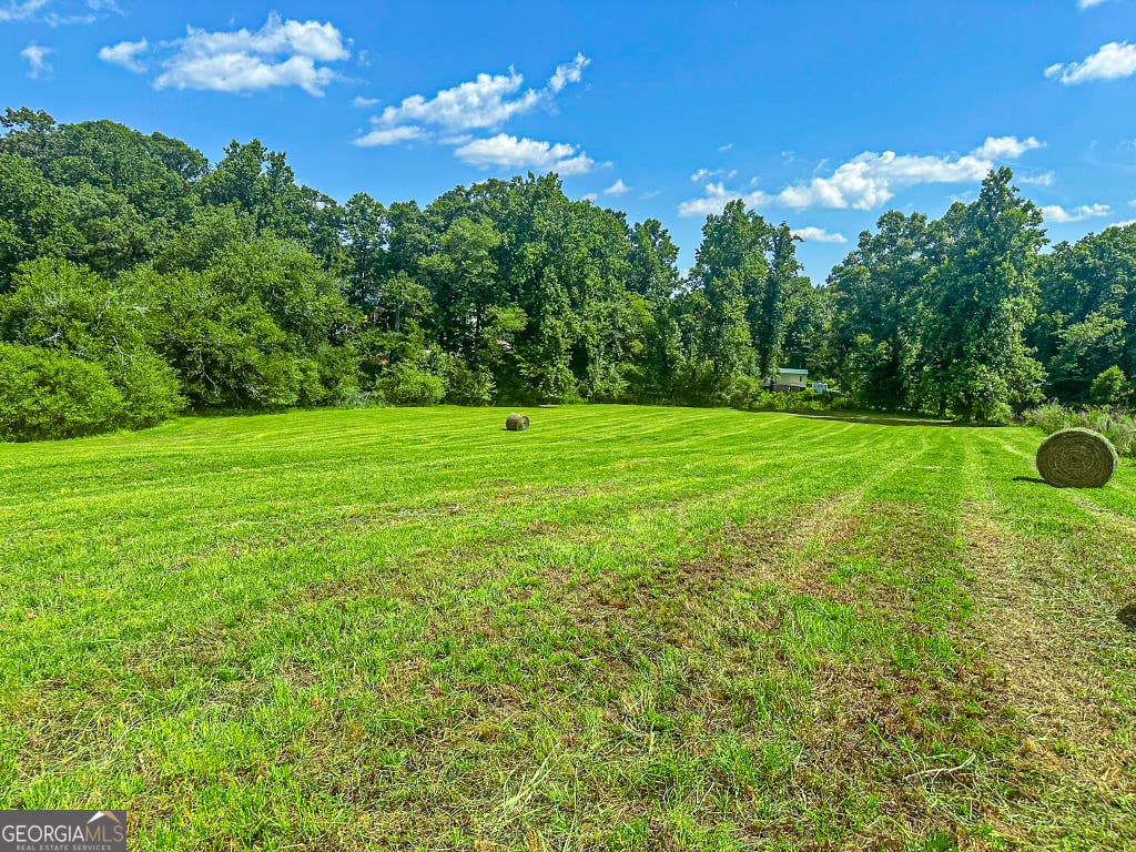 Photo of 2051 Clay Creek Falls Road, Dahlonega, GA 30533 (MLS # 10808151)