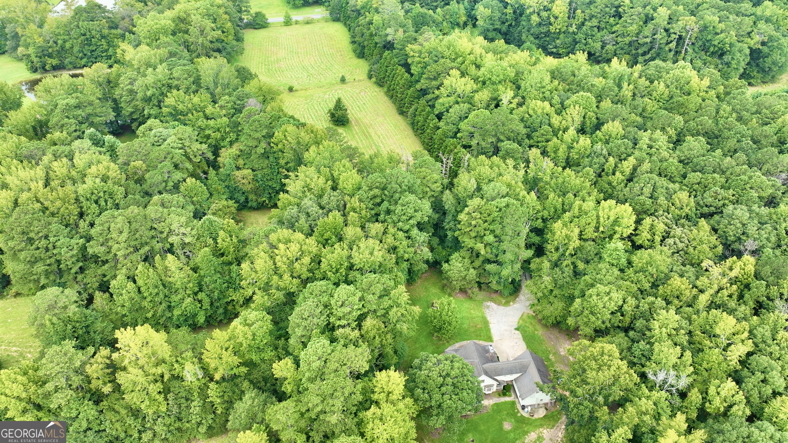 161 Ellison RD