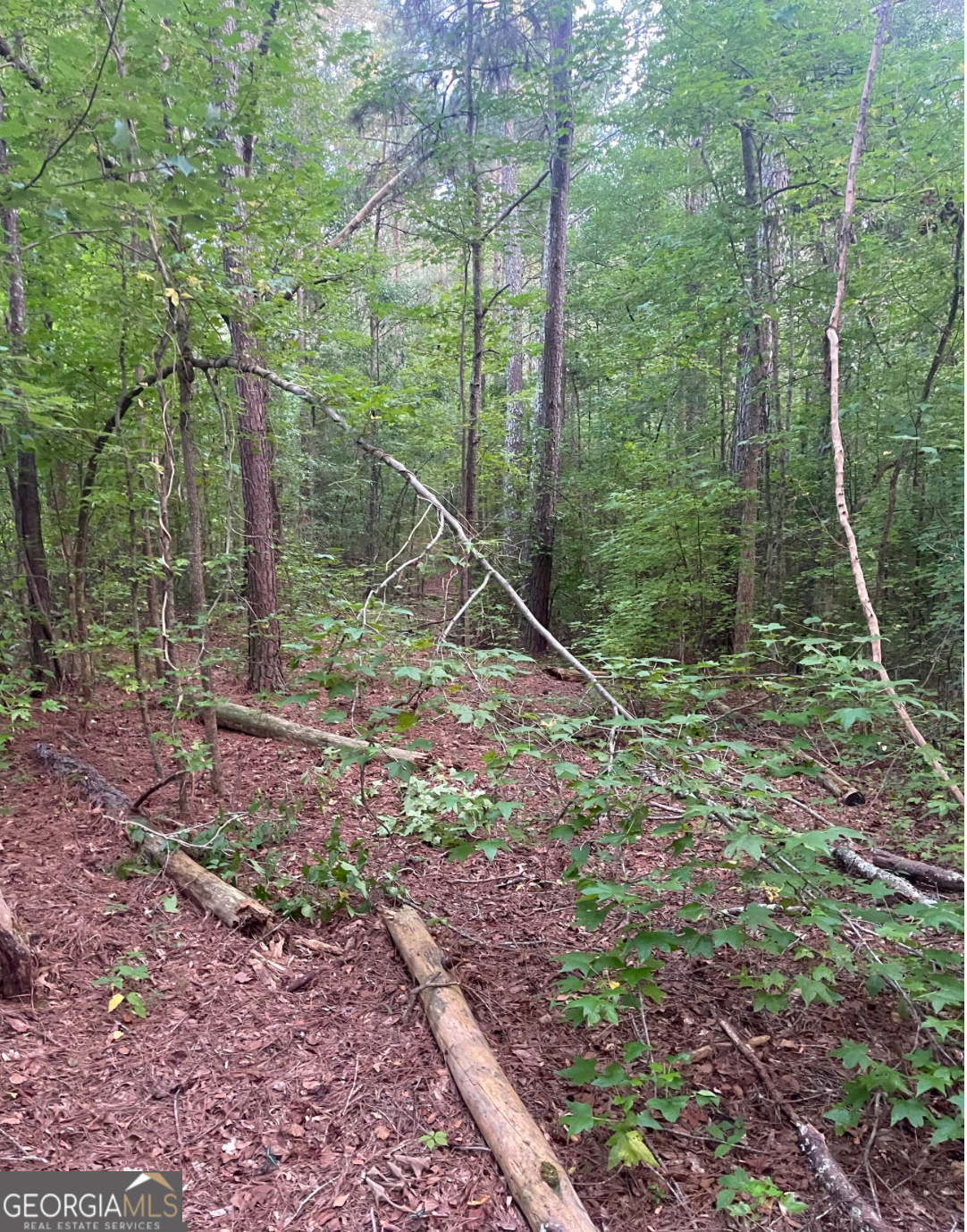 Land has untouched hardwoods and Larger acreage lands surrounding the lot for privacy. Mobile Home can be put on this land or several homes can be built depending on the city approval. Blank canvas to create your vision.