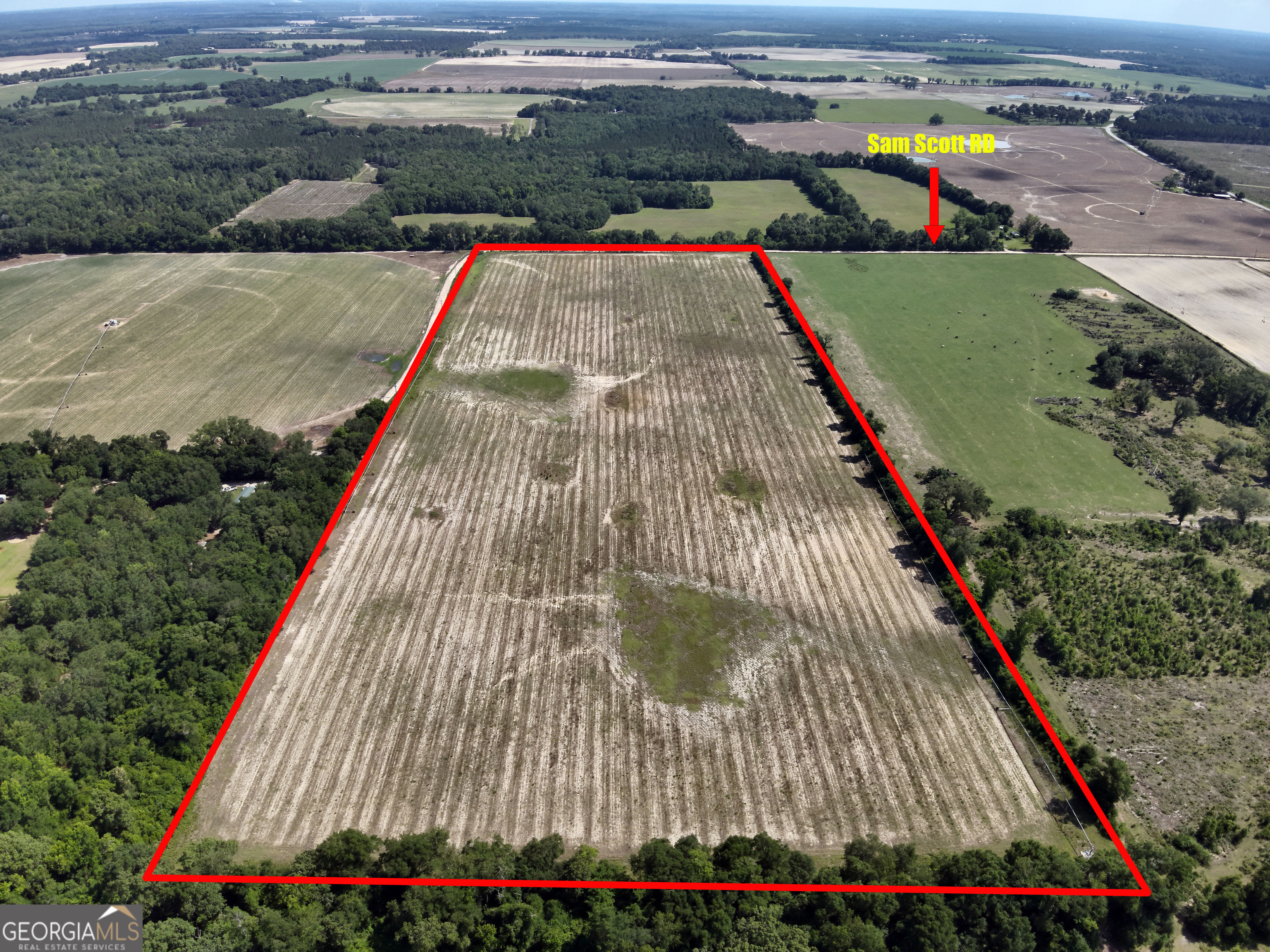Listing image 1