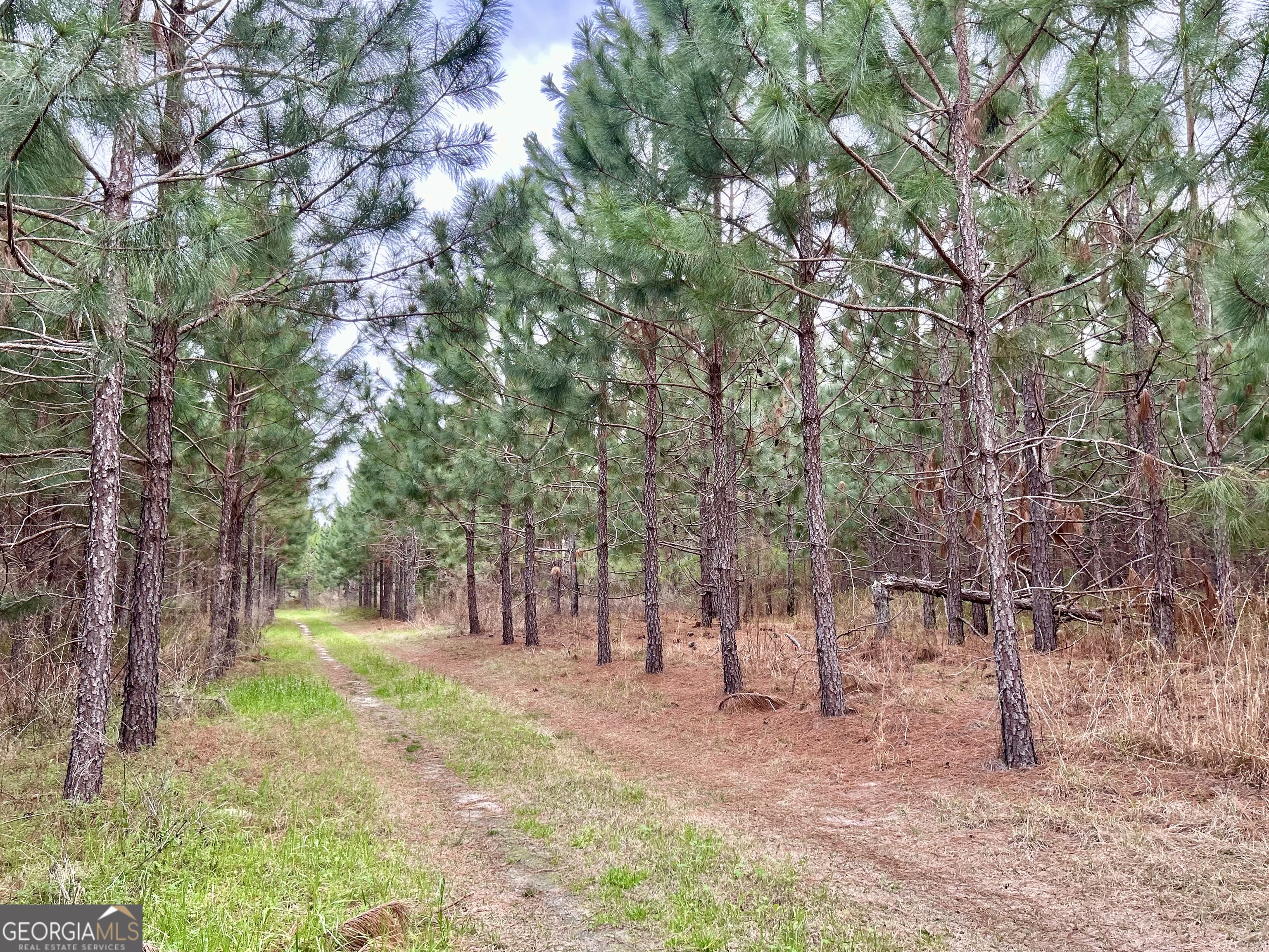 668 Ten Mile RD