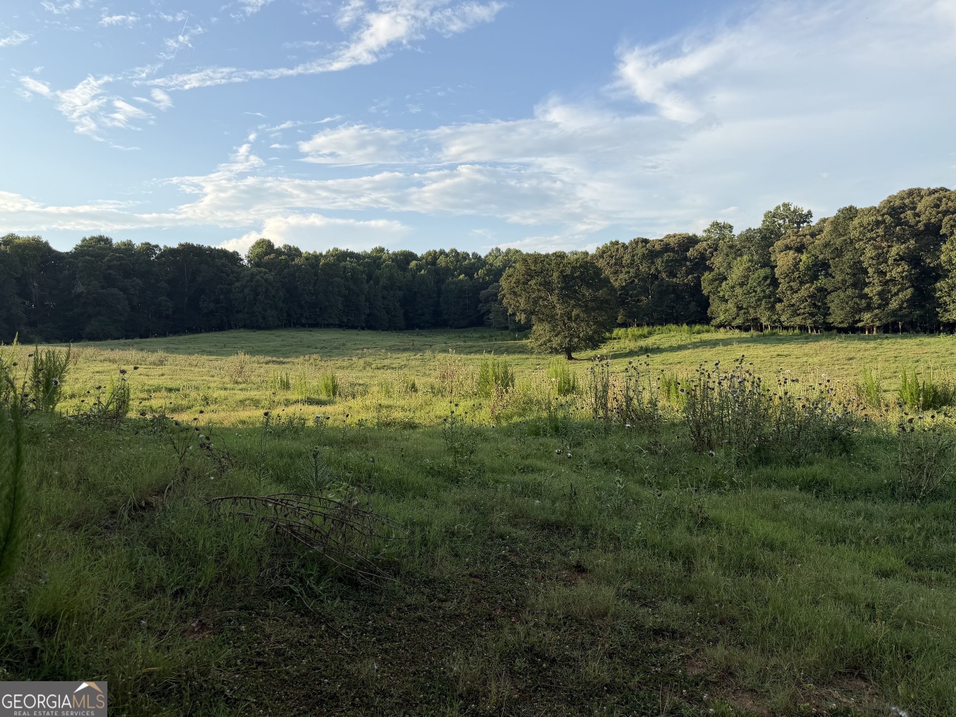 3481 Highway 59