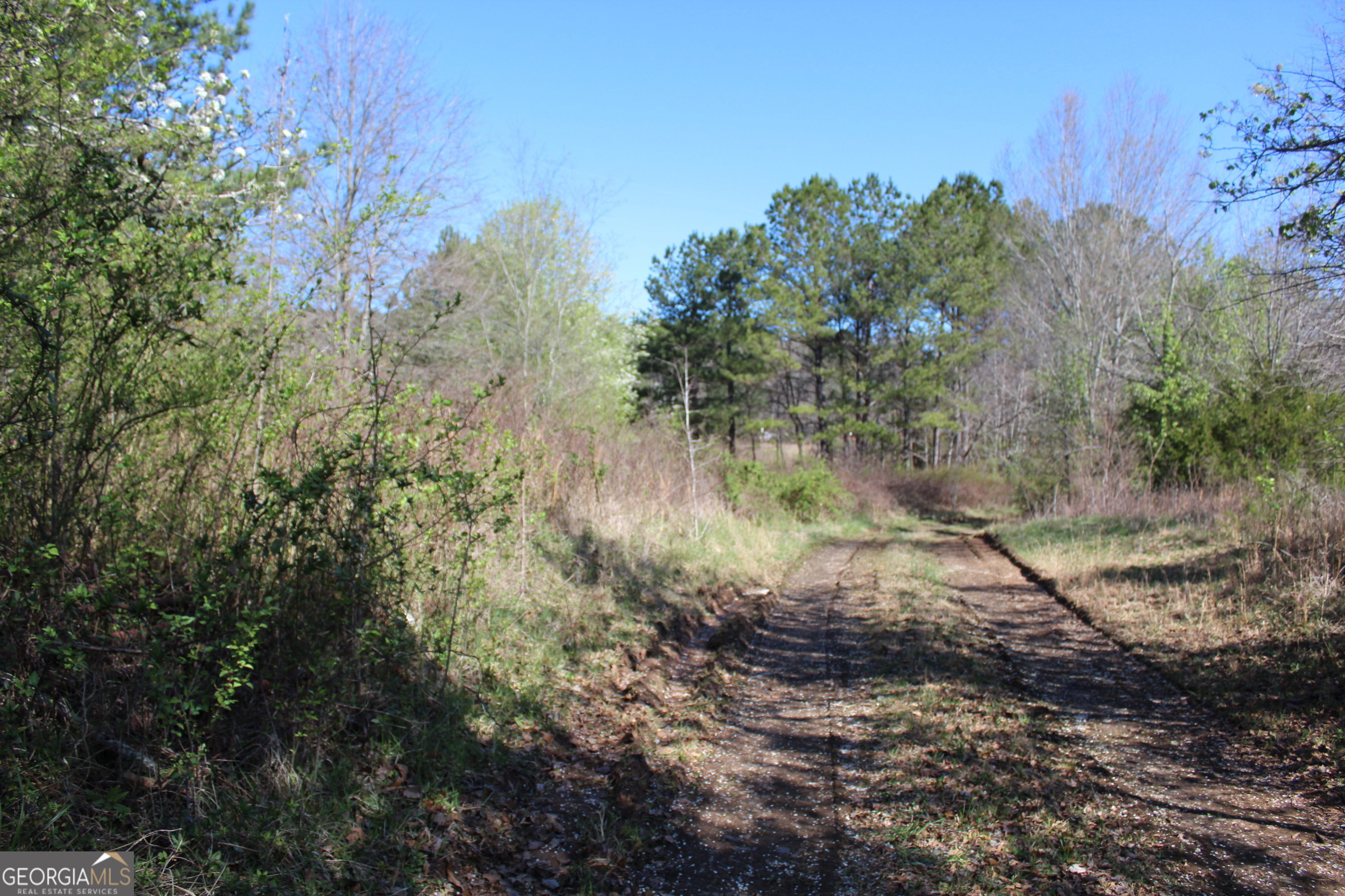 2018 BEN JOHNSON RD