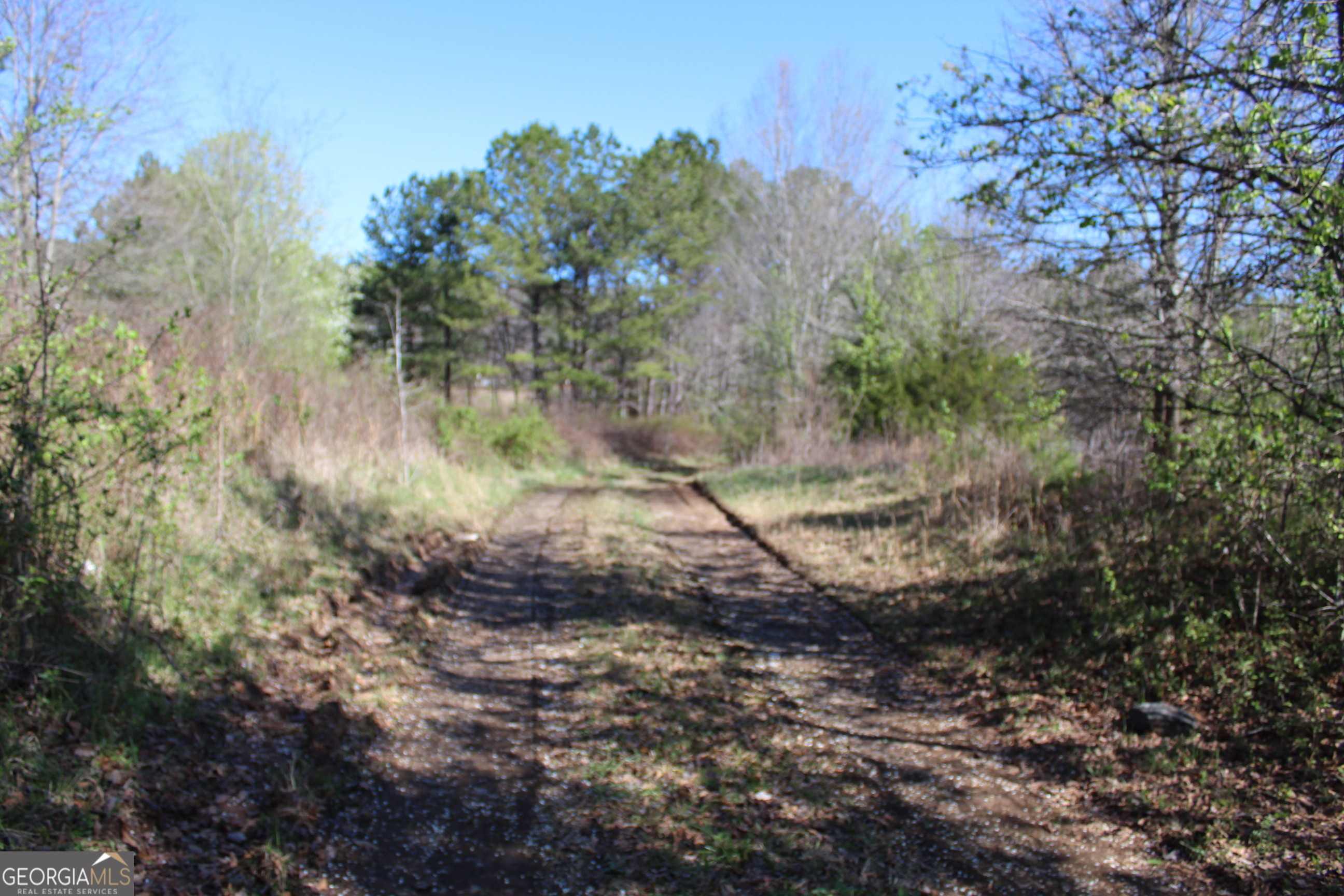 2018 BEN JOHNSON RD