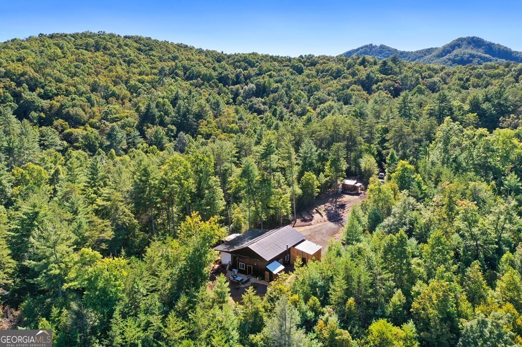 643 White Pine RD