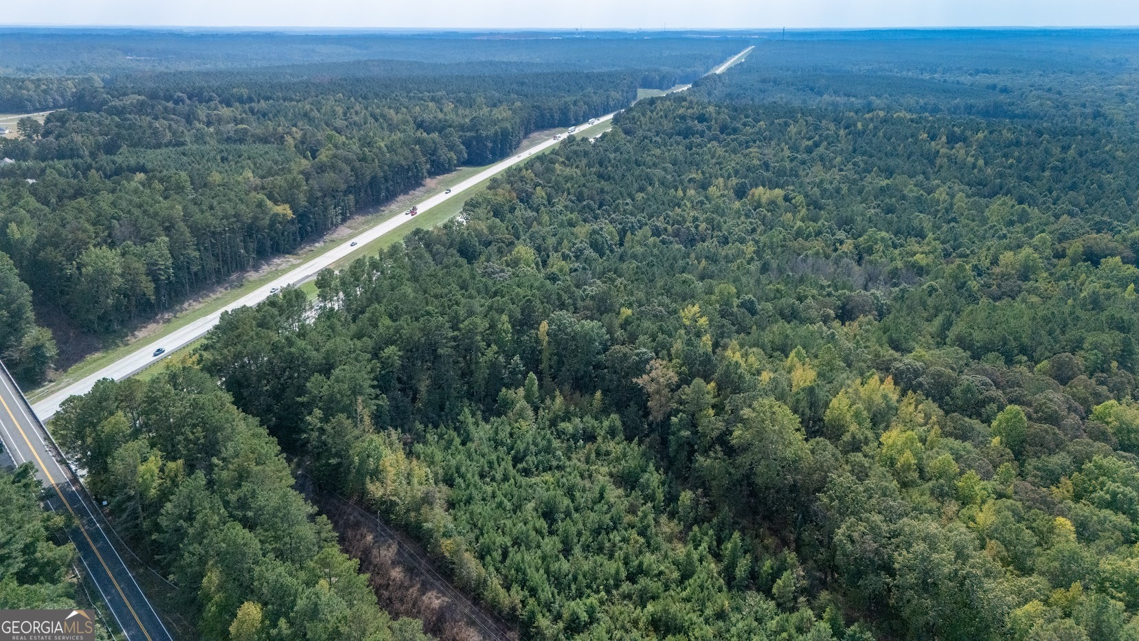 93.49 ACRES Forrest RD