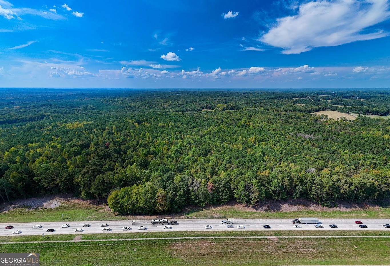 93.49 ACRES Forrest RD