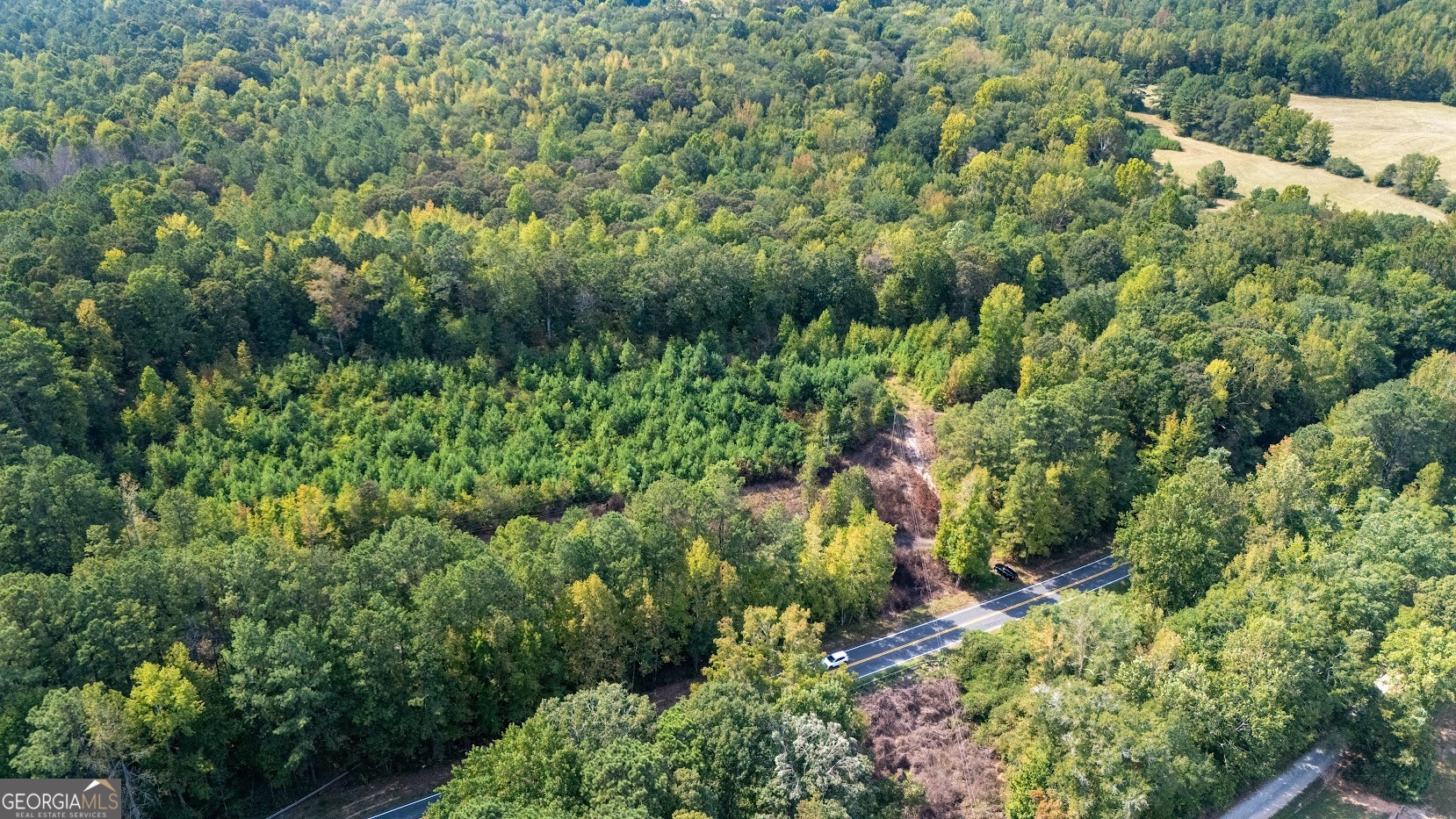 93.49 ACRES Forrest RD