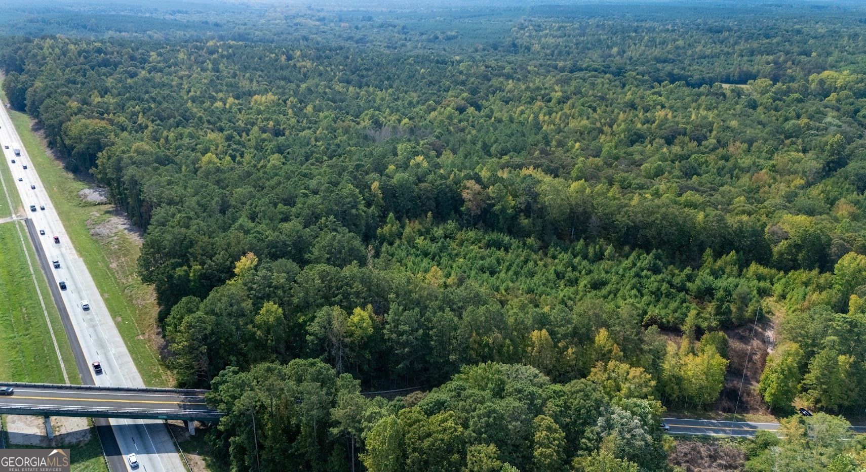 93.49 ACRES Forrest RD