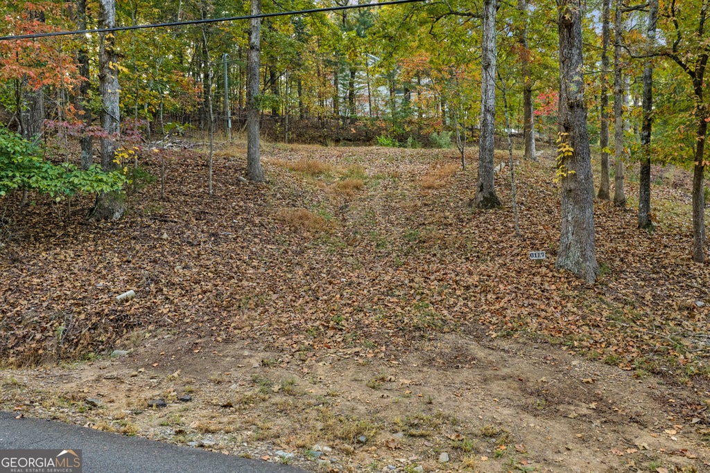 Photo of 6117 Falcon Lane, Gainesville, GA 30506 (MLS # 10882391)