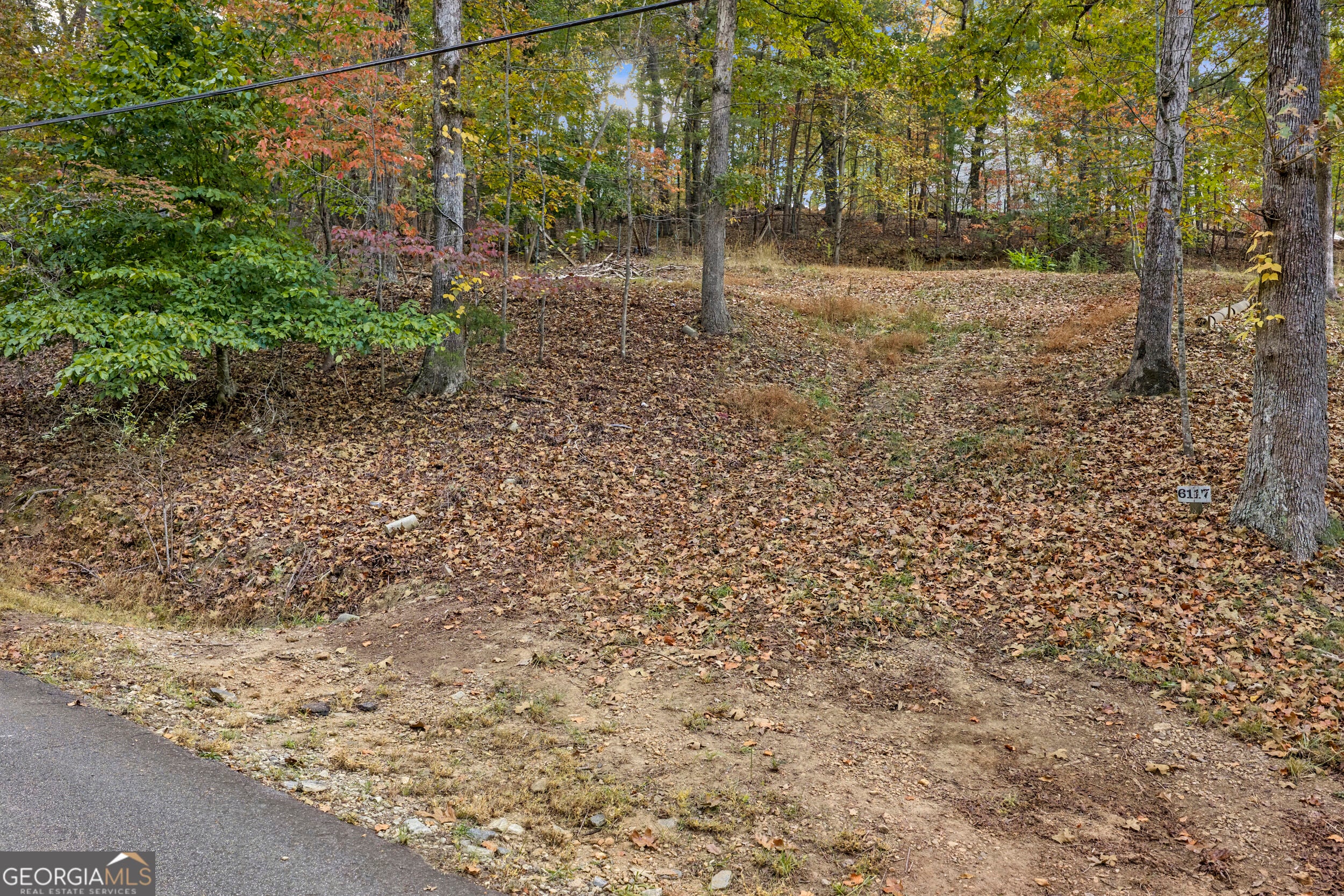 6117 Falcon LN