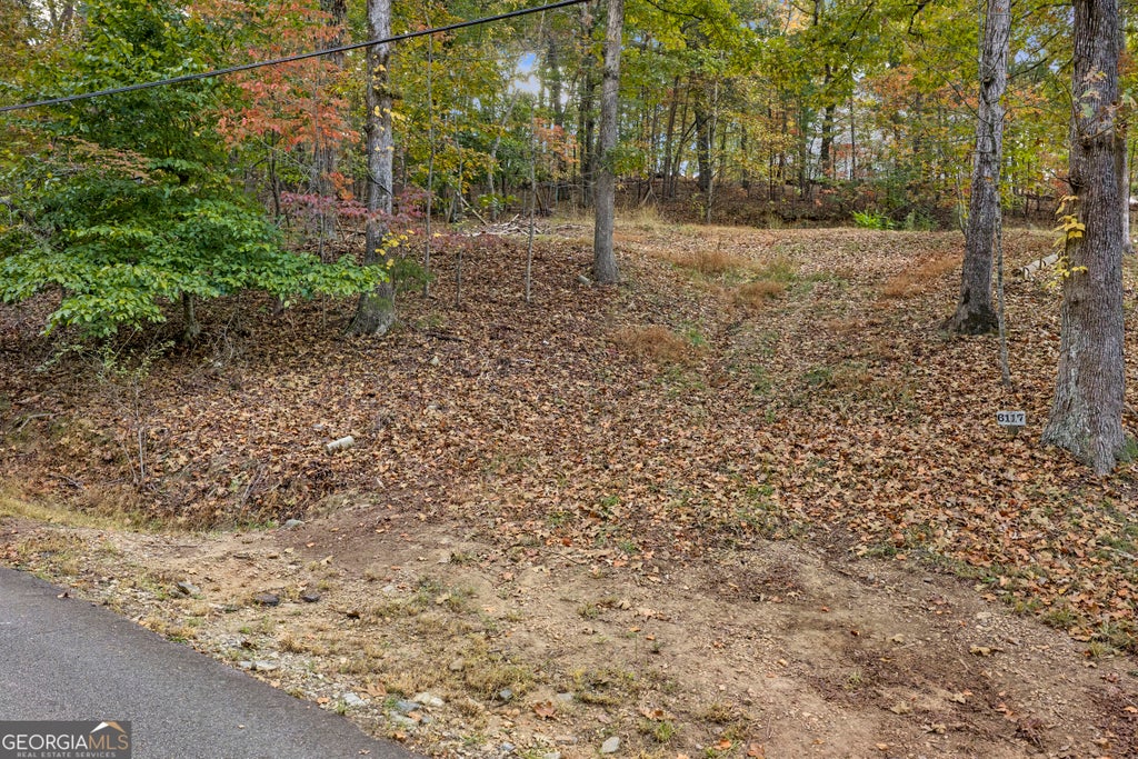 Photo of 6117 Falcon Lane, Gainesville, GA 30506 (MLS # 10882391)