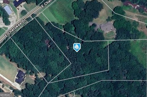 Photo of 7820 E Cherokee Drive, Canton, GA 30115 (MLS # 10637874)