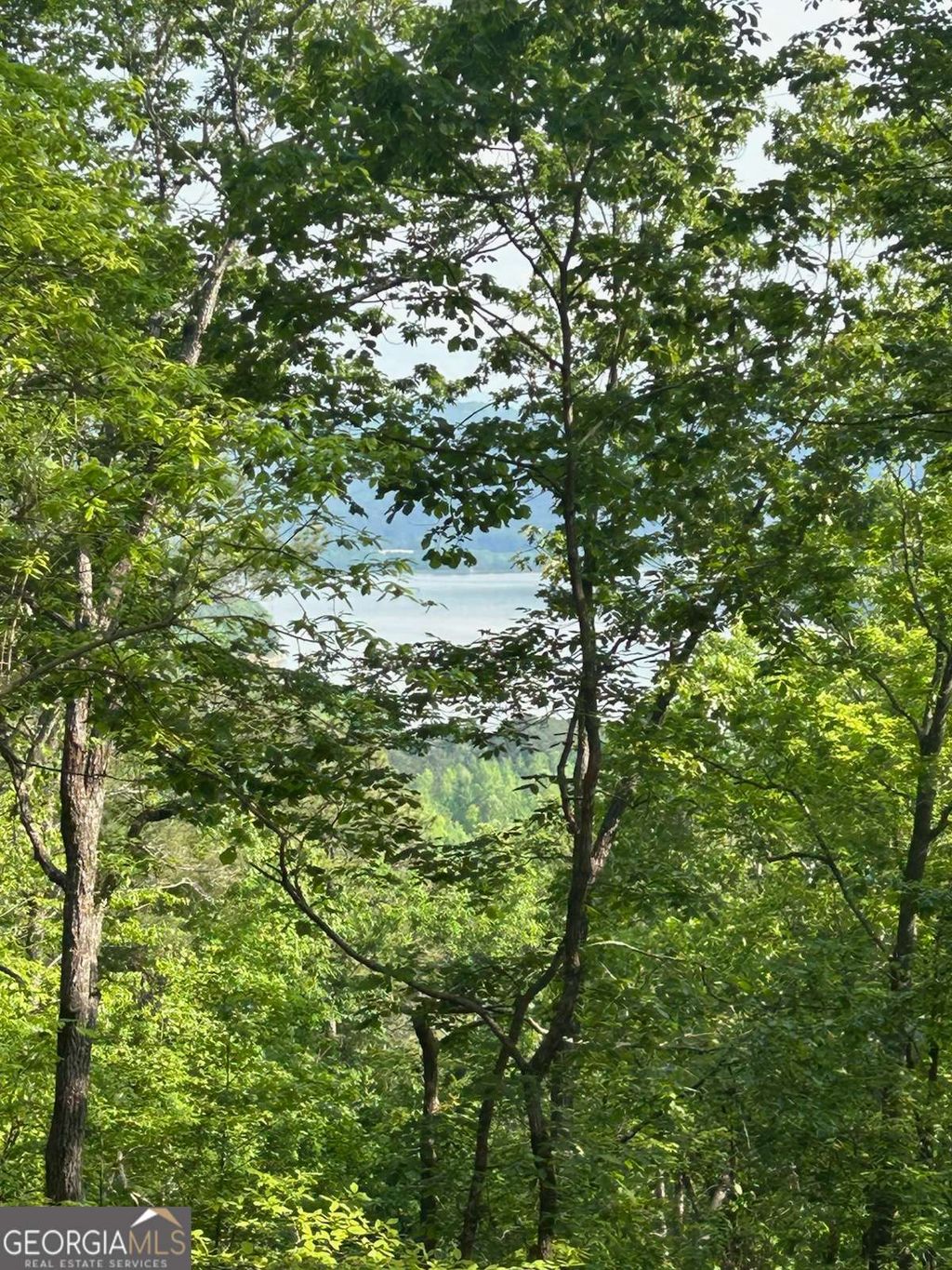 Photo of 324 Adair Drive, Ranger, GA 30734 (MLS # 10730751)