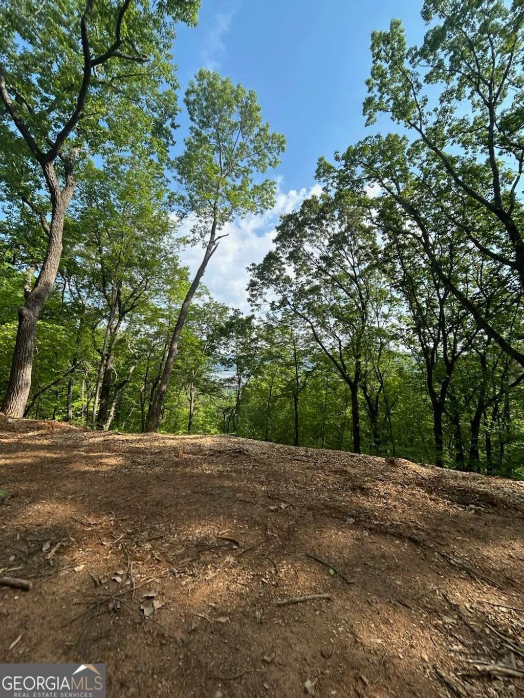 Photo of 324 Adair Drive, Ranger, GA 30734 (MLS # 10730751)