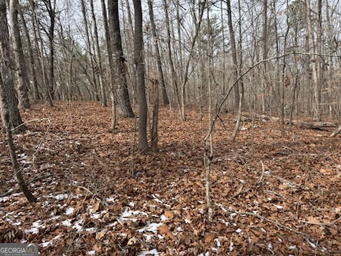 0 Holly Springs RD TRACT 3
