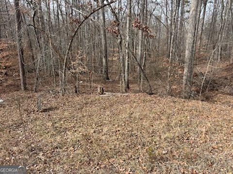 0 Holly Springs RD TRACT 3