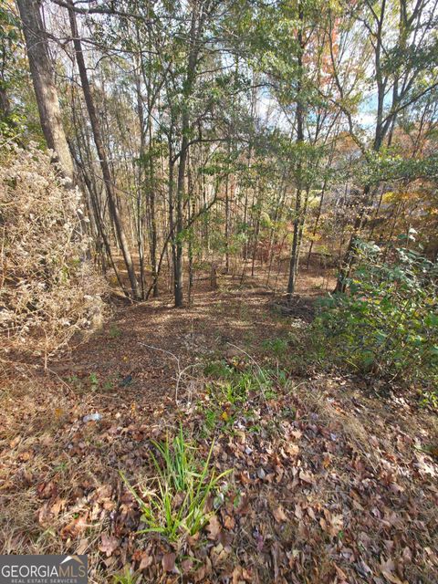 2412 Snowshoe BND Bethlehem GA 30620