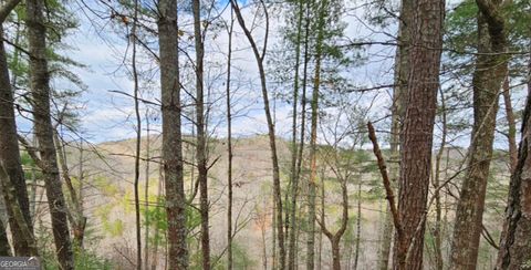 Photo of 1744 Meadow Lane, Talking Rock, GA 30175 (MLS # 10616369)