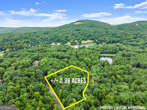 Photo of 349 Golden Ln, Clarkesville, GA 30523 (MLS # 10821396)