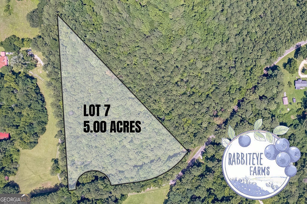 LOT 7 Haynes RD