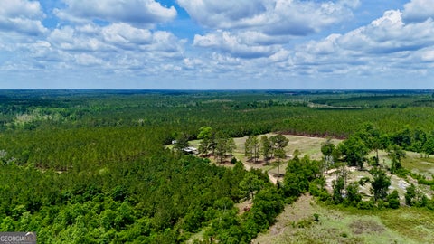 Photo of 0 Neily Wagon Road, McRae-Helena, GA 31055 (MLS # 10764355)