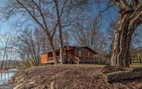 A home in Mineral Bluff