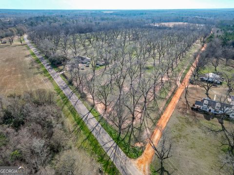 0 Old Hwy 19 South Ellaville GA 31806