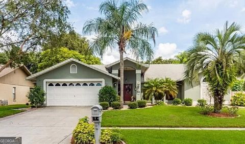 3009 Starmount DR Valrico FL 33596