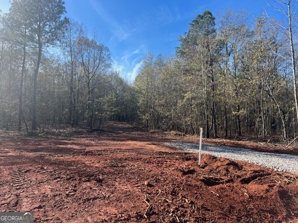 Photo of 144 Berry Road, Barnesville, GA 30204 (MLS # 10650046)