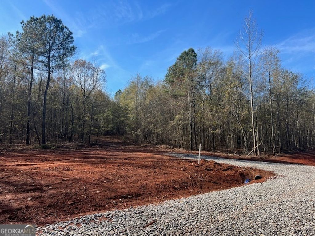 Photo of 144 Berry Road, Barnesville, GA 30204 (MLS # 10650046)