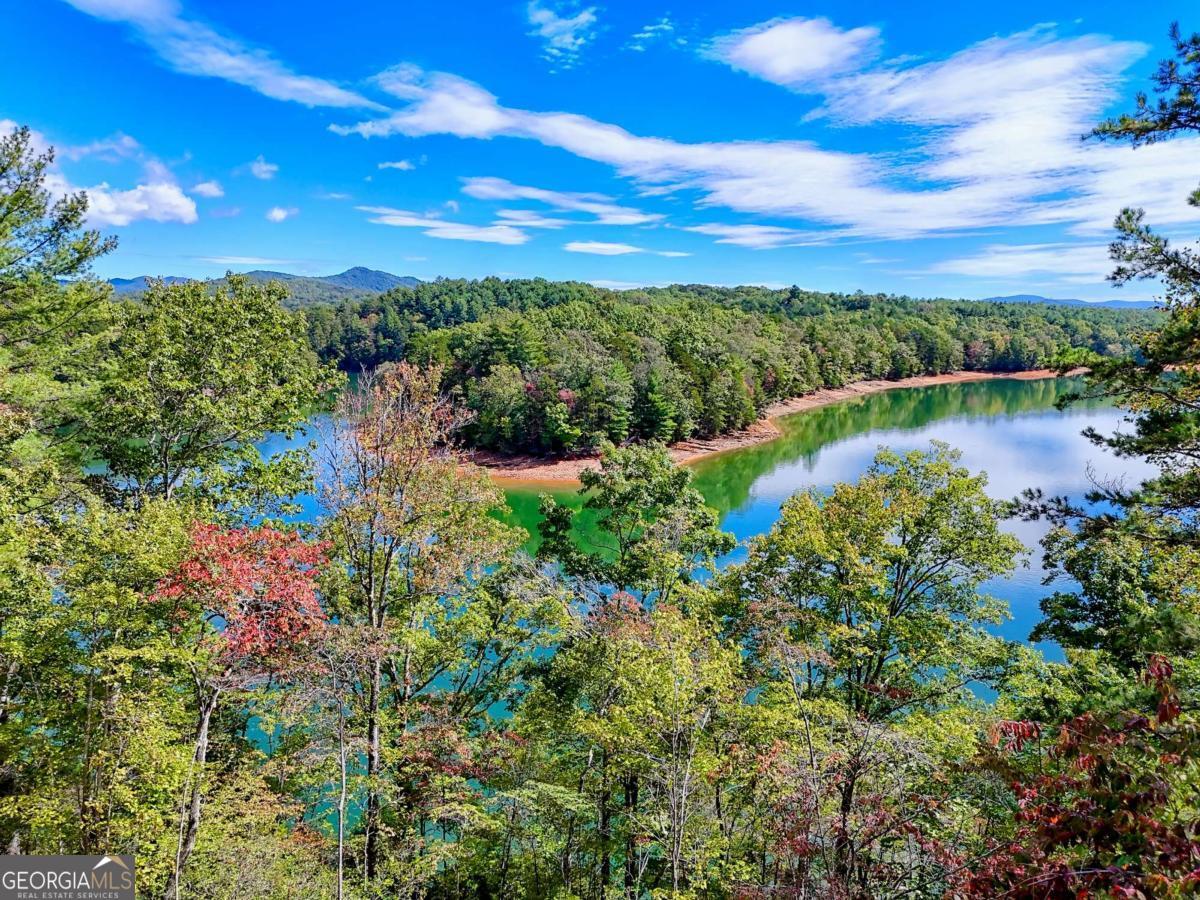 11 Falcon DR