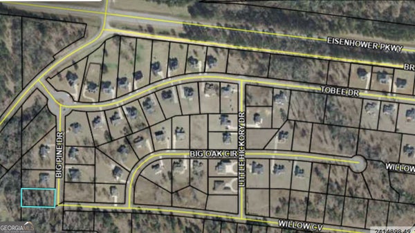 207 BIG PINE DR, LIZELLA, GA 31052 - Image 6ca67496eebc7a1cb22b8a88aa4c5cf8/1157703884