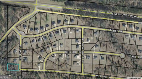 Photo of 207 Big Pine Drive, Lizella, GA 31052 (MLS # 10846155)