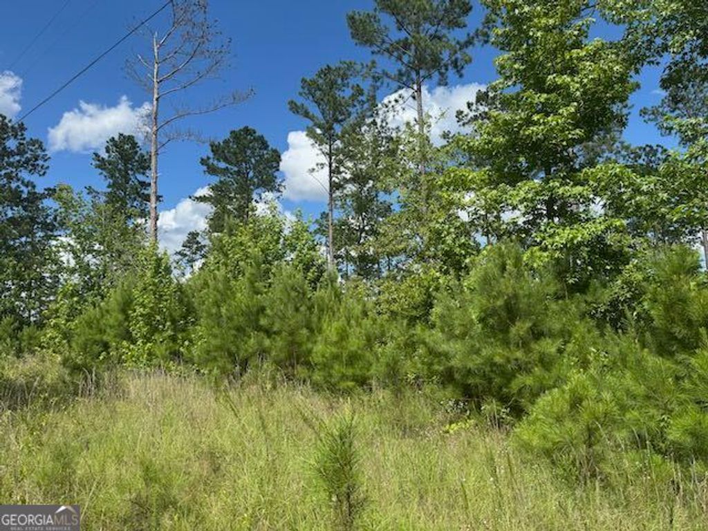 Photo of 10 Tennille Oconee Road, Tennille, GA 31089 (MLS # 10549473)
