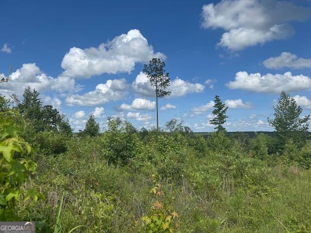 Photo of 10 Tennille Oconee Road, Tennille, GA 31089 (MLS # 10549473)