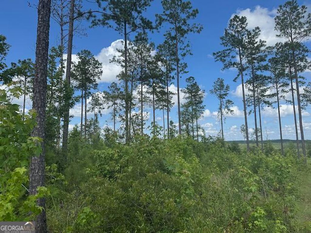 Photo of 10 Tennille Oconee Road, Tennille, GA 31089 (MLS # 10549473)