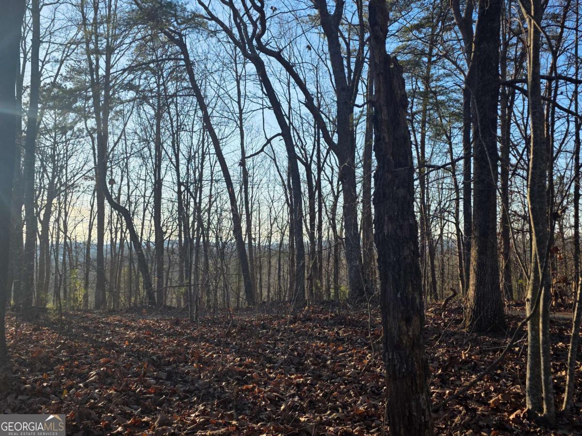 0 CARTERS LAKE OVERLOOK
