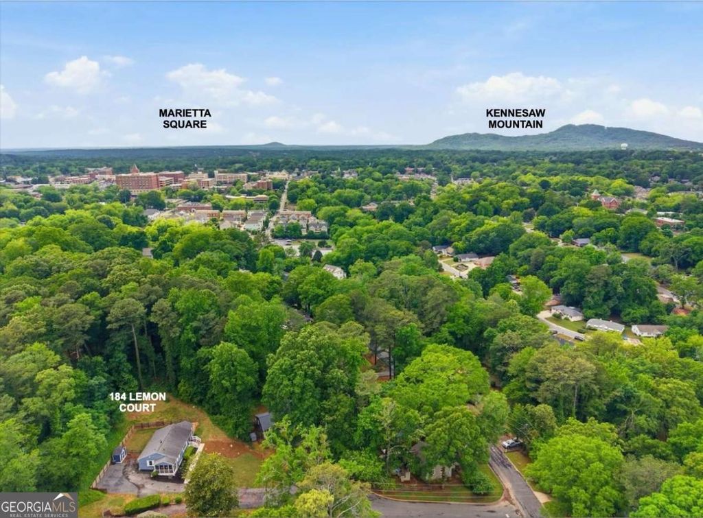 Photo of 184 Lemon Court NE, Marietta, GA 30060 (MLS # 10760616)