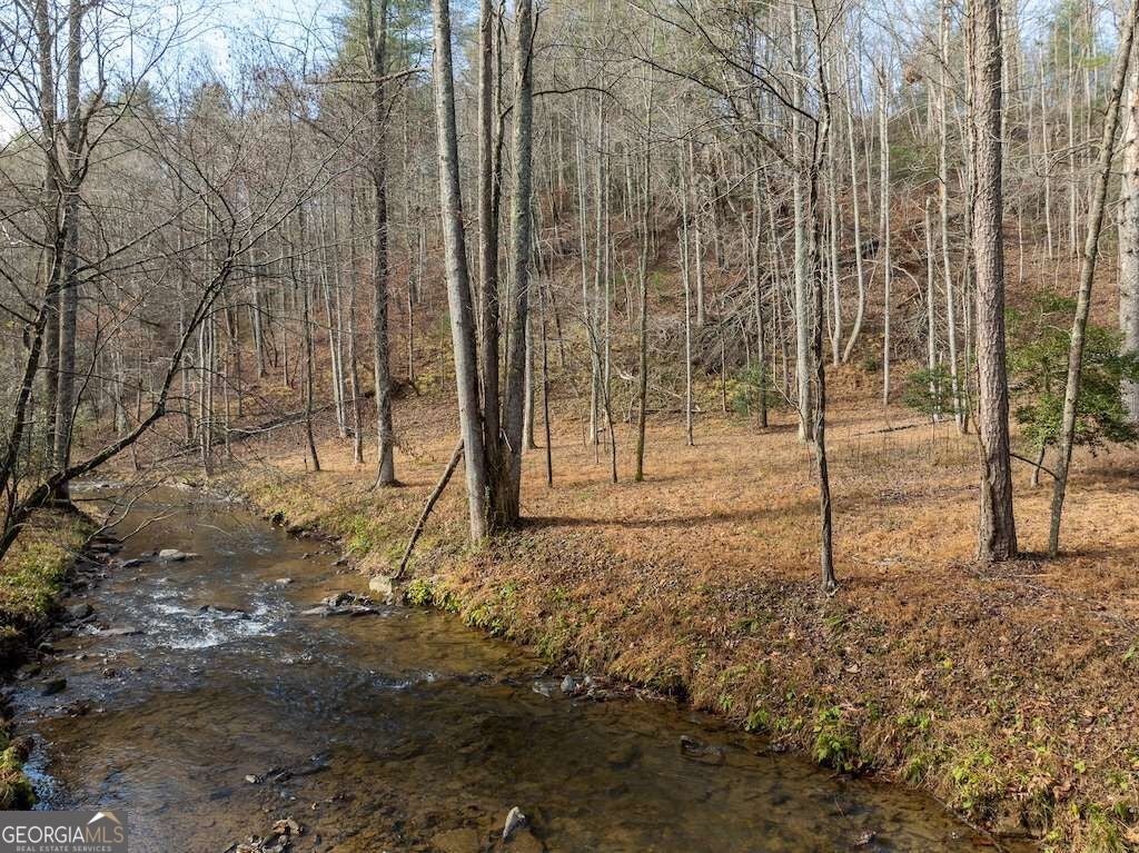 Photo of 780 Banks Road, Ellijay, GA 30540 (MLS # 10879303)