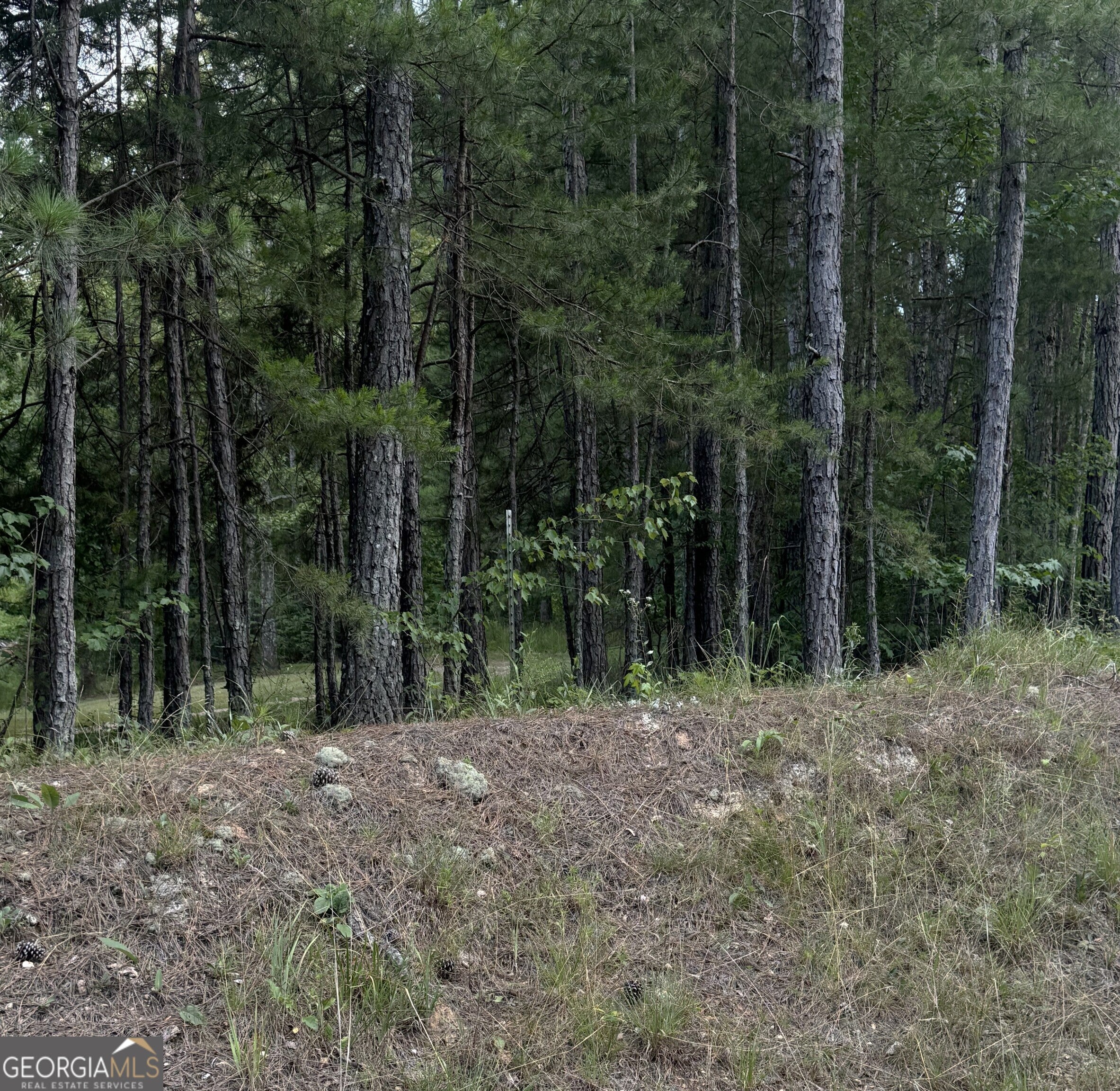 0 Co Rd 61