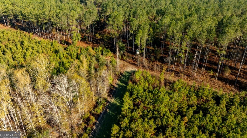 0 S Highway 19 & Warm Spring RD