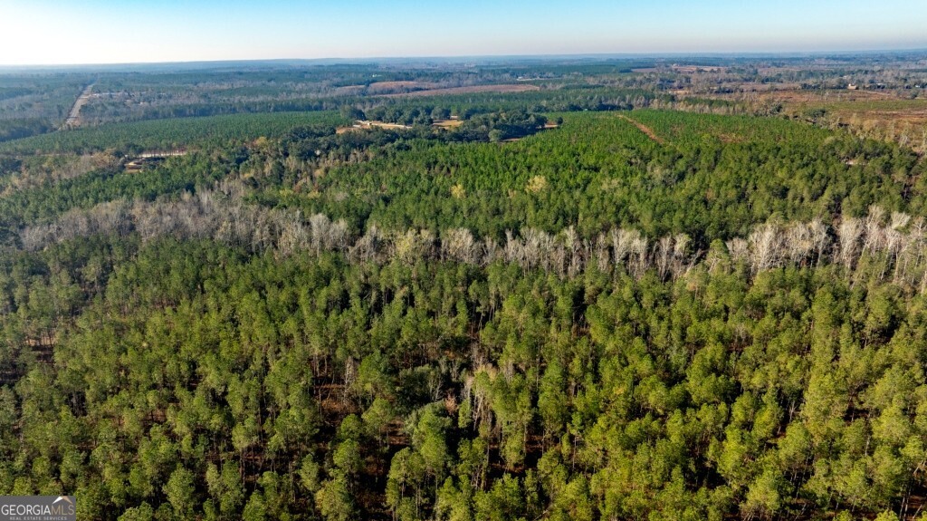 0 S Highway 19 & Warm Spring RD