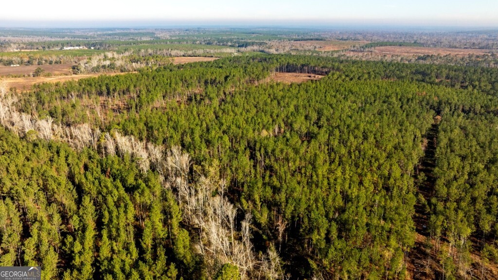 0 S Highway 19 & Warm Spring RD