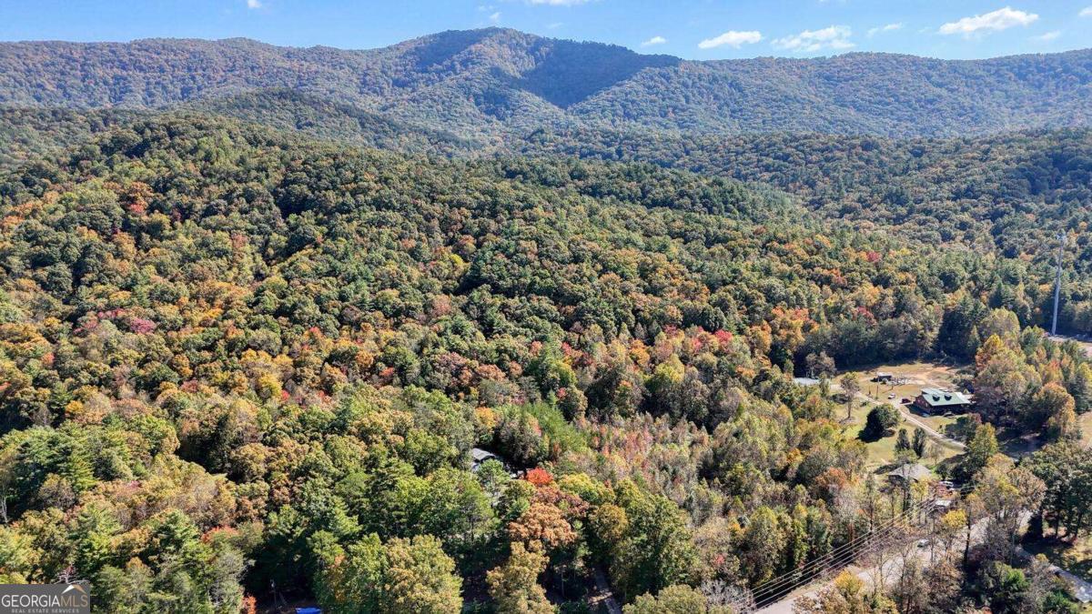 'WOW' WHAT AN OPPORTUNITY. 55.11 ACRES THAT ABUTTS THE RICH MOUNTAIN WILDLIFE MANAGEMENT AREA. NICELY WOODED WITH AND OLD ROAD THAT WAS CUT IN UP ONTO THE MOUNTAIN. HAS SINCE GROWN IN. THE BOTTOM 4-5 ACRES WAS CLEARED AT ONE TIME BUT HAS ALSO GROWN UP. GREAT VIEWS FROM THE TOP. WOULD MAKE A GREAT PRIVATE RETREAT OR A FUTURE DEVELOPMENT. SUPER LOCATION BETWEEN BLUE RIDGE & ELLIJAY. GREAT ACCESS FROM PAVED ROAD AND STATE ROAD 515.
