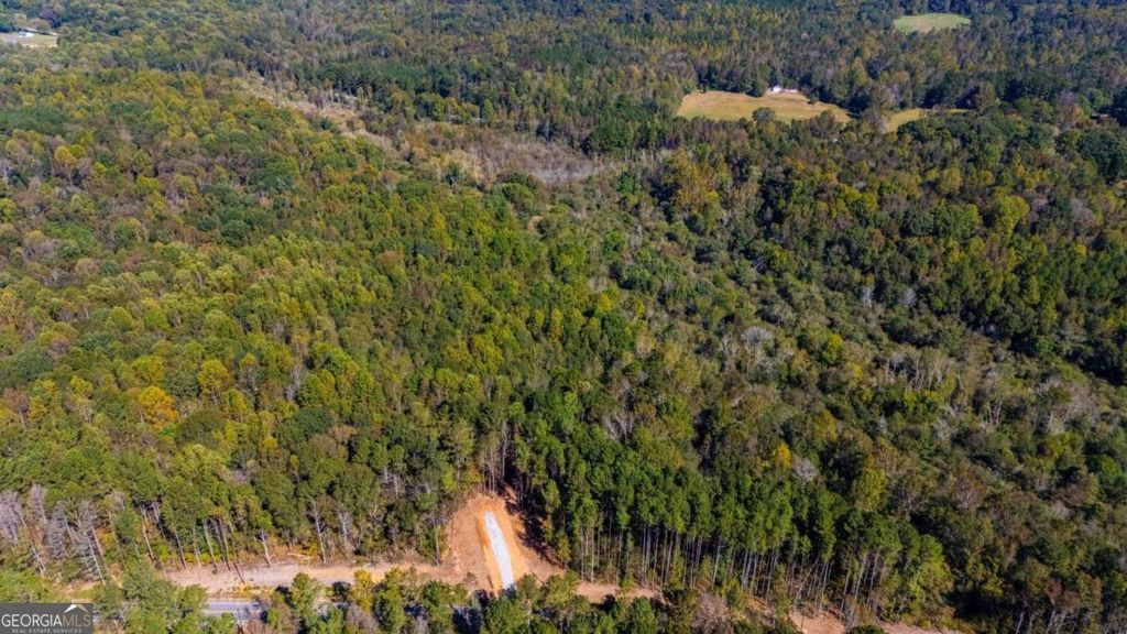 Photo of 224 Maley Road, Jefferson, GA 30549 (MLS # 10679072)