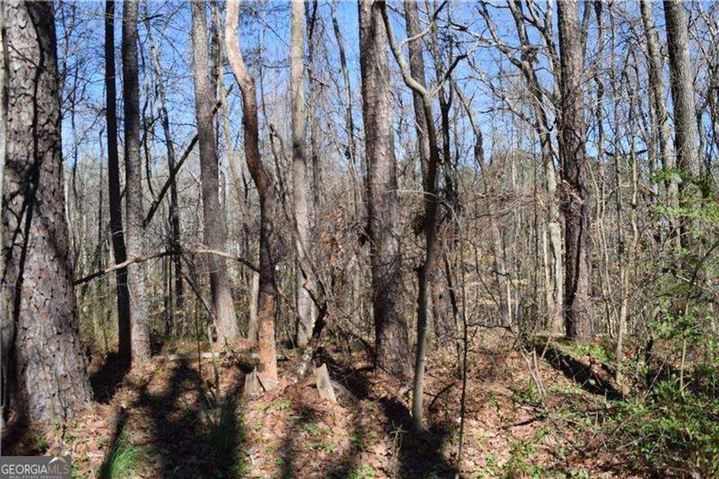 Photo of 5320 Beth Drive, Austell, GA 30106 (MLS # 10695721)