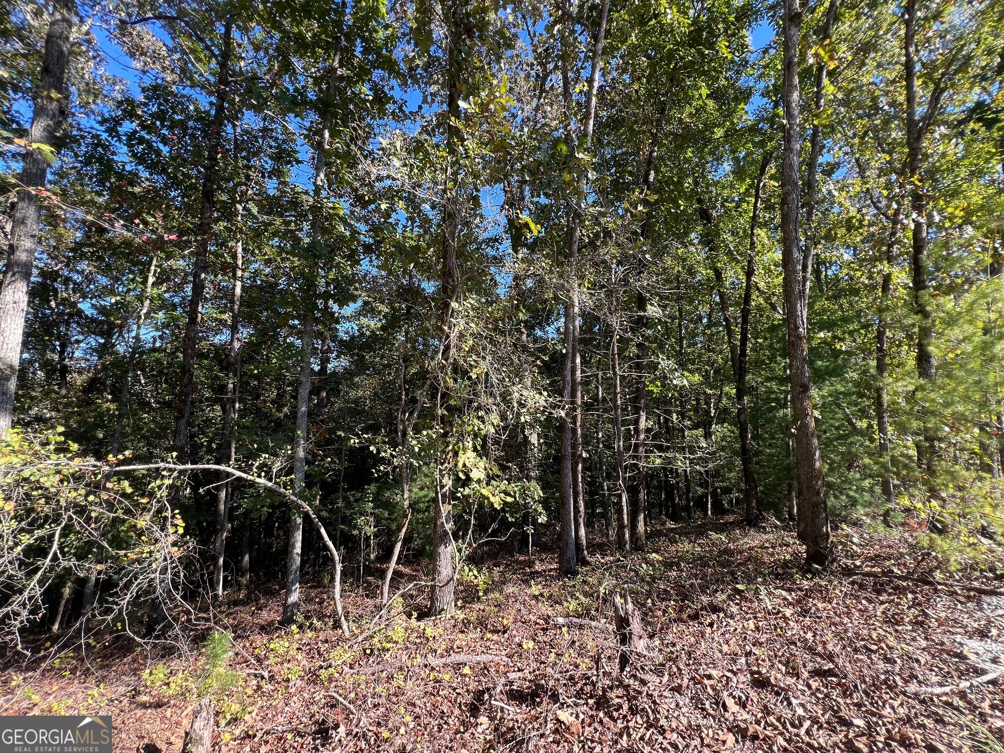 0 Rebekah Ridge RD